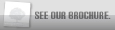 Get to know us. See our brochure